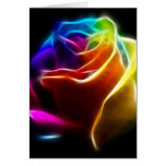 Beautiful Rose of Colours 1