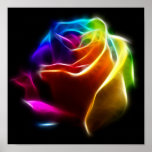 Beautiful Rose of Colours 1 posters