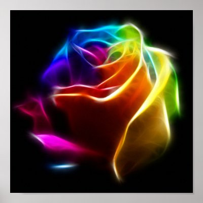 Beautiful Rose of Colours 1 by TheArtOfPamela