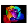 Beautiful Rose of Colours 5