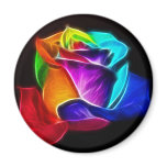 Beautiful Rose of Colours 5