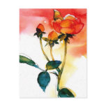 Beautiful Rose Post Cards