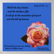 Beautiful Rose Poster