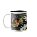 Beautiful Ruby Throated Hummingbirds mugs