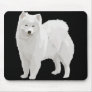 Beautiful Samoyed Mouse Pads