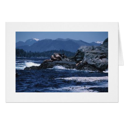 Beautiful Scenic Card by forbes1954