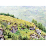 Beautiful Scottish Countryside photo sculptures