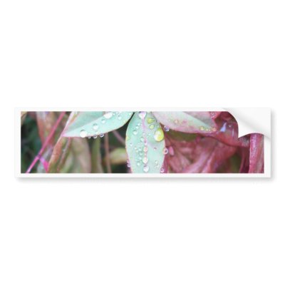 beautiful Sheffield Village of Oakland Bumper Sticker by OaklandPhotography