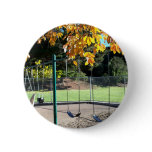 Beautiful Sheffield Village of Oakland buttons