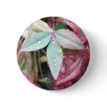 beautiful Sheffield Village of Oakland buttons
