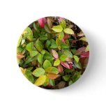 beautiful Sheffield Village of Oakland Buttons