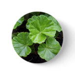 beautiful Sheffield Village of Oakland Pinback Button