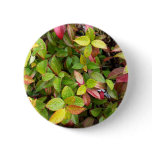 beautiful Sheffield Village of Oakland Pinback Buttons
