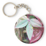 beautiful Sheffield Village of Oakland keychains