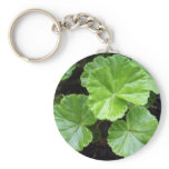 beautiful Sheffield Village of Oakland Keychain