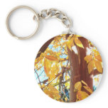 Beautiful Sheffield Village of Oakland Key Chain
