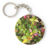 beautiful Sheffield Village of Oakland Key Chain