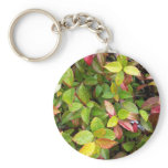 beautiful Sheffield Village of Oakland Keychain