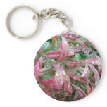 Beautiful Sheffield Village of Oakland keychains