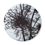 beautiful Sheffield Village of Oakland magnets
