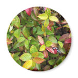 beautiful Sheffield Village of Oakland Fridge Magnet