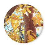 Beautiful Sheffield Village of Oakland Refrigerator Magnet