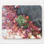 Beautiful Sheffield Village of Oakland mousepads