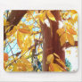 Beautiful Sheffield Village of Oakland Mousepad