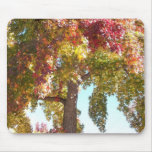 Beautiful Sheffield Village of Oakland Mousemats