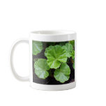 beautiful Sheffield Village of Oakland Mug