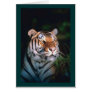 Beautiful Sitting Tiger