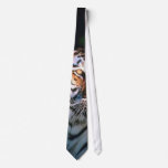 Beautiful Sitting Tiger ties
