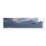 beautiful sky  and  cloud bumper stickers