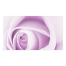 Beautiful soft purple rose flower floral profile business card templates