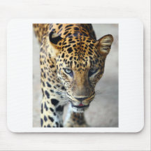 Beautiful spotted leopard mouse pads
