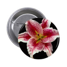 Beautiful Stargazer lily Pins