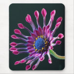 Beautiful Sunflower mousepads