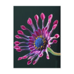 Beautiful Sunflower postcards