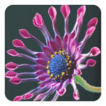 Beautiful Sunflower stickers