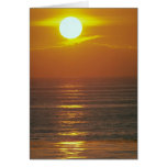 Beautiful Sunset: Encintas, California Cards