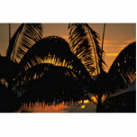 Beautiful Sunset: Kona, Hawaii Cut Outs