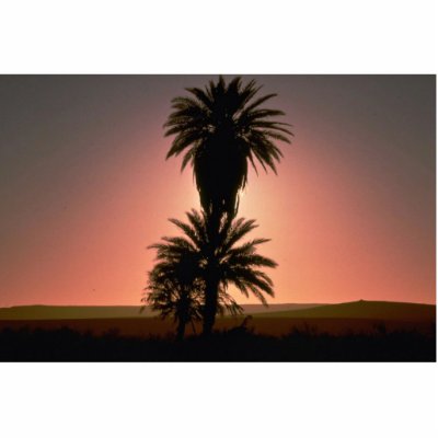 Beautiful Sunset: Sahara Desert, Algeria Acrylic Cut Outs by inspirelove
