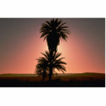 Beautiful Sunset: Sahara Desert, Algeria photo sculptures