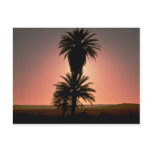 Beautiful Sunset: Sahara Desert, Algeria Post Cards