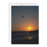 Beautiful Sunset: Todos Santos Island, Baja, Mexic Custom Announcement