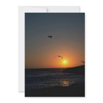 Beautiful Sunset: Todos Santos Island, Baja, Mexic Custom Announcement