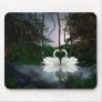beautiful swans scene mousepad 1