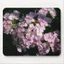 Beautiful Sweet Williams Mousepads