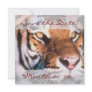Beautiful Tiger Announcements