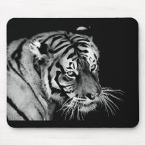 Beautiful Tiger in Black and white Mouse Pad